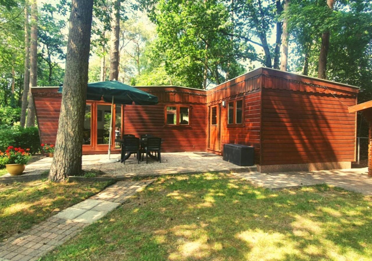Chalet L2 Dennenrhode Doornspijk Exteriér fotografie